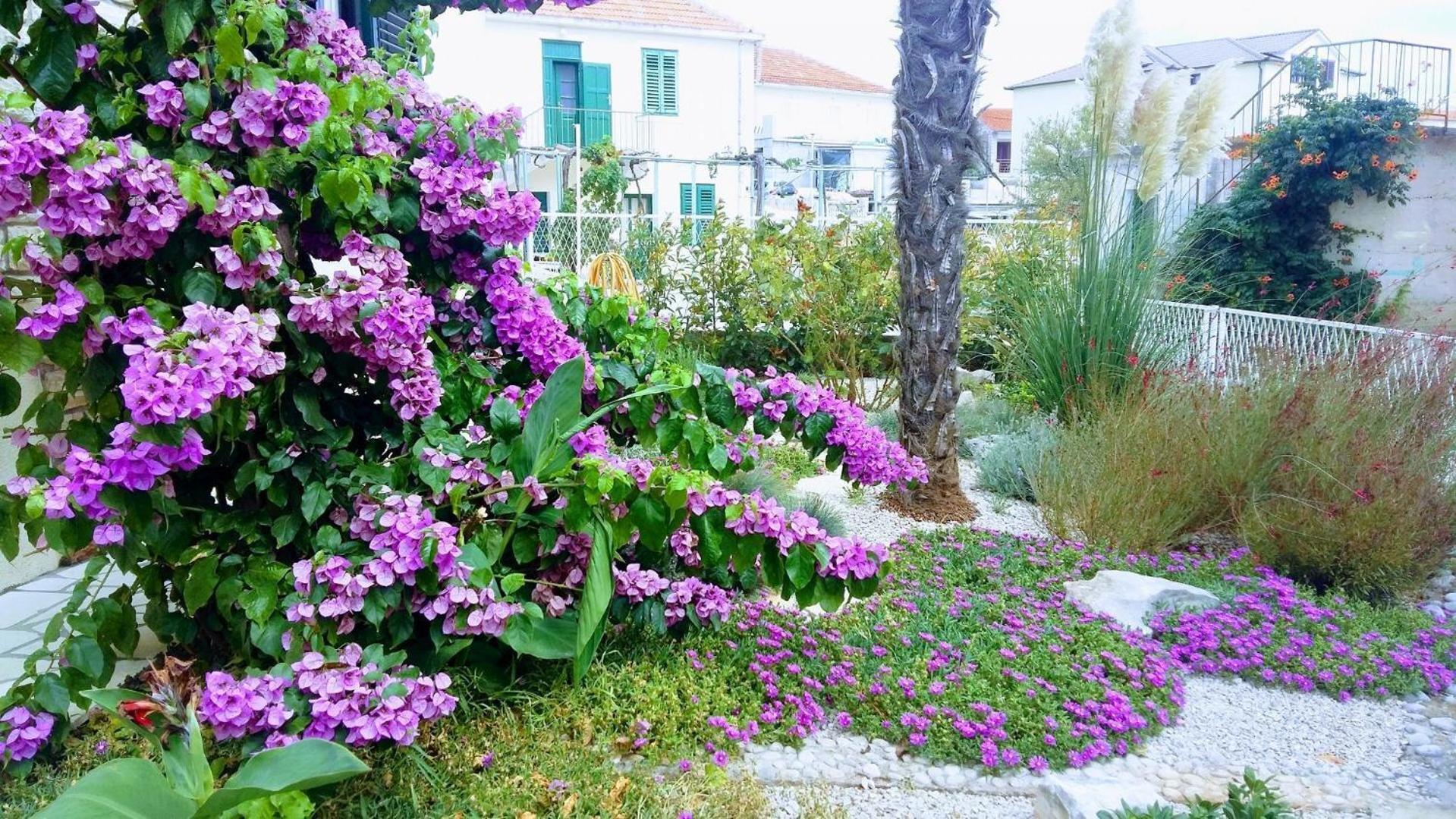 Apartments Mateo - 60M From Sea Primošten Exteriér fotografie